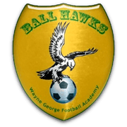 Wayne George Football Academy logo